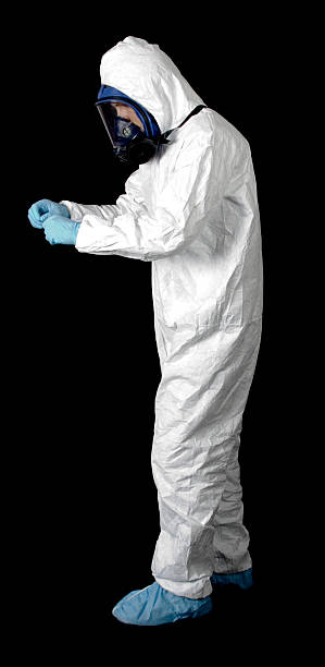 Best Black Mold Removal  in Vista, CA