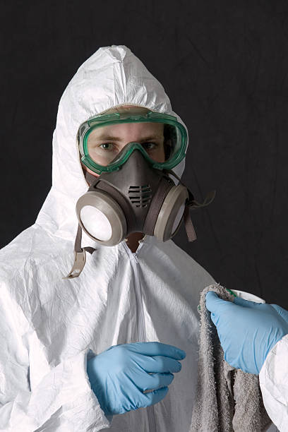 Best Post-Construction Mold Inspection  in Vista, CA