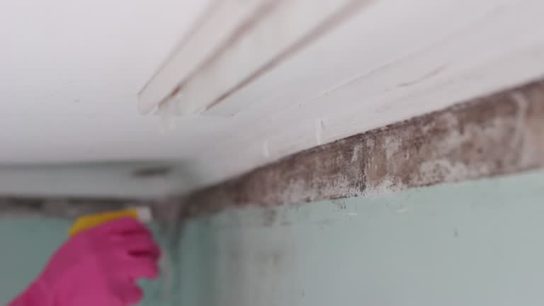 Best Post-Remediation Verification Testing  in Vista, CA